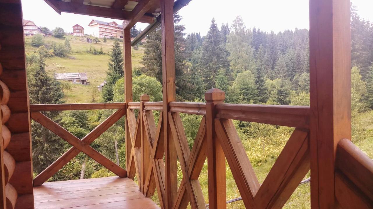 "Лісова Ягода" Jablunytsja Exteriör bild